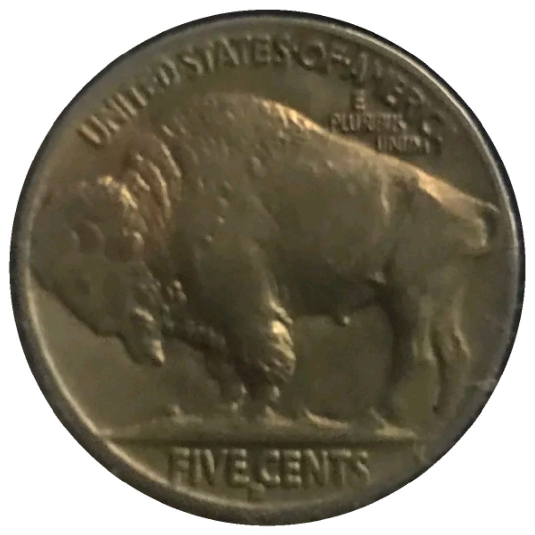 1916-D-Buffalo-Nickel-#3